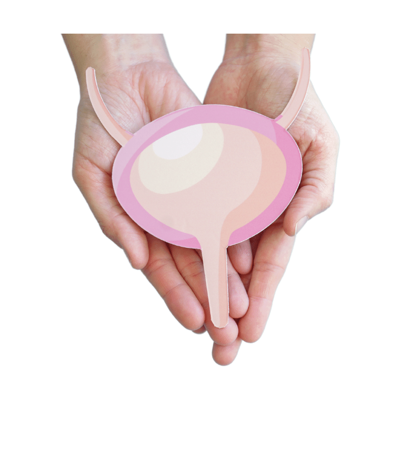 Incontinence urinaire Prolapsus La Fare les Oliviers